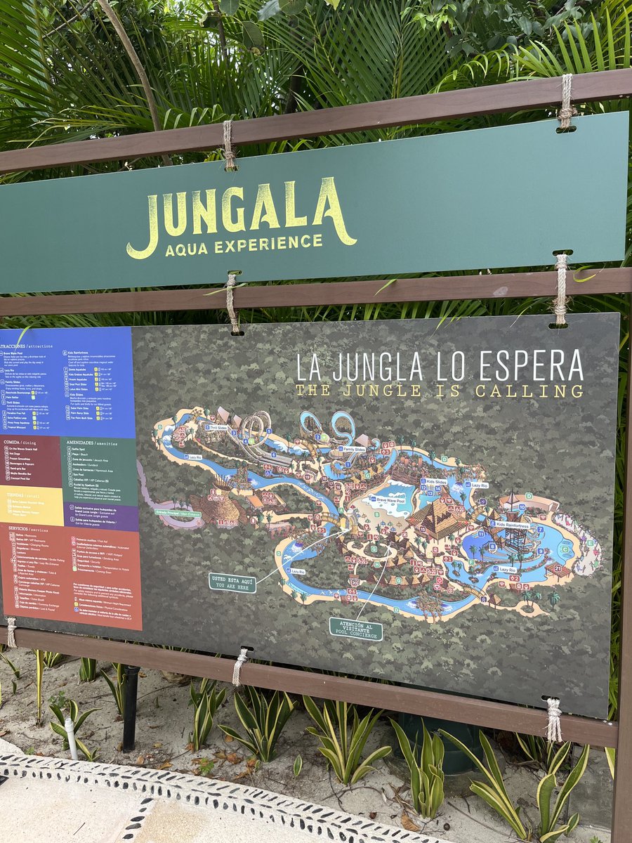 tenaciouspita's tweet photo. Thanks Jungala youโve been a great escape!!! Israel was awesome ๐โฆ โค๏ธ๐๐ป๐
#jungala #greatfun #awesomefun https://t.co/yrDfFn8hn0