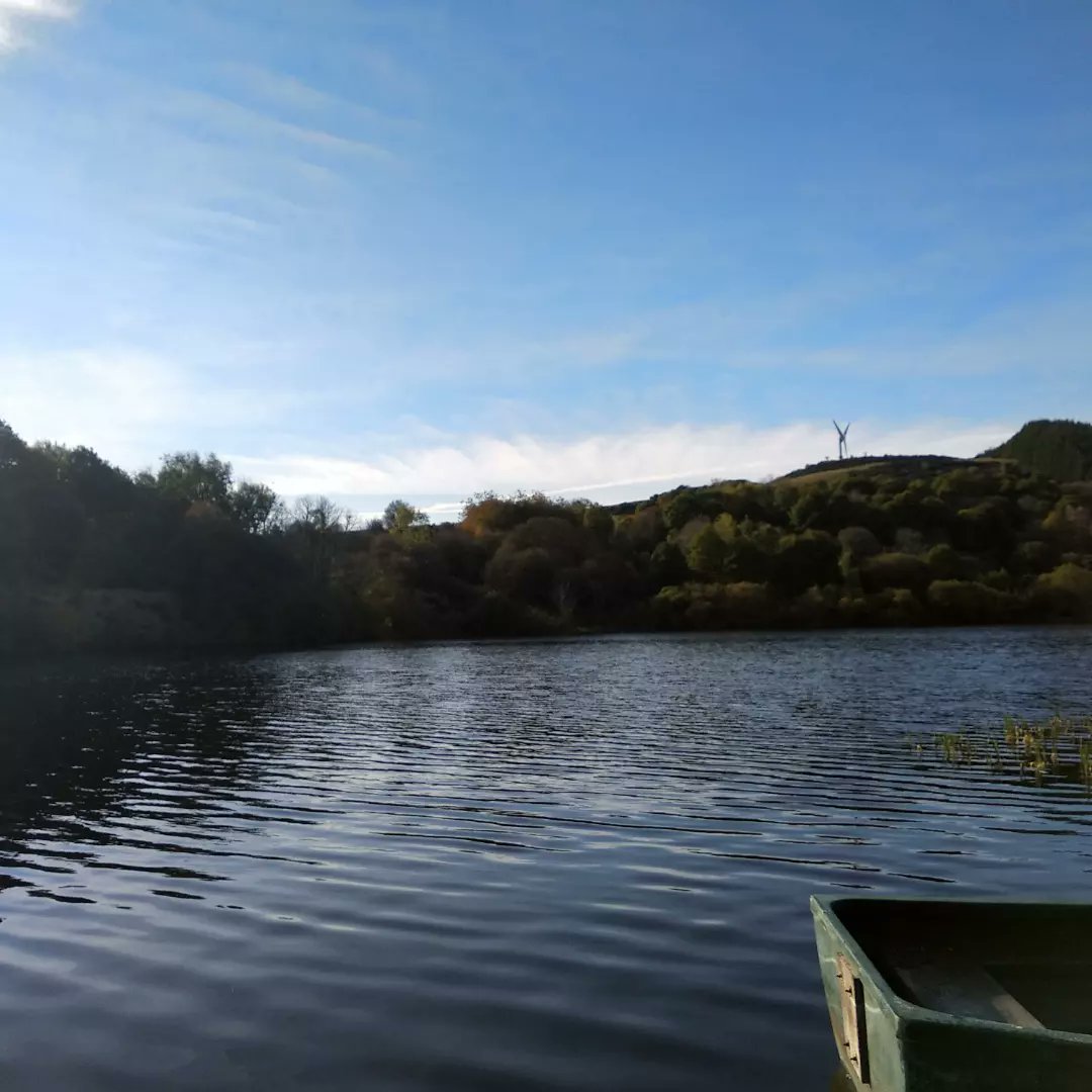 Loving the holidays. Beautiful day today for an early walk and a chilly swim.