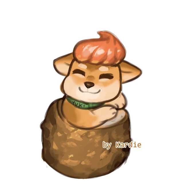 Shiba sushi! 