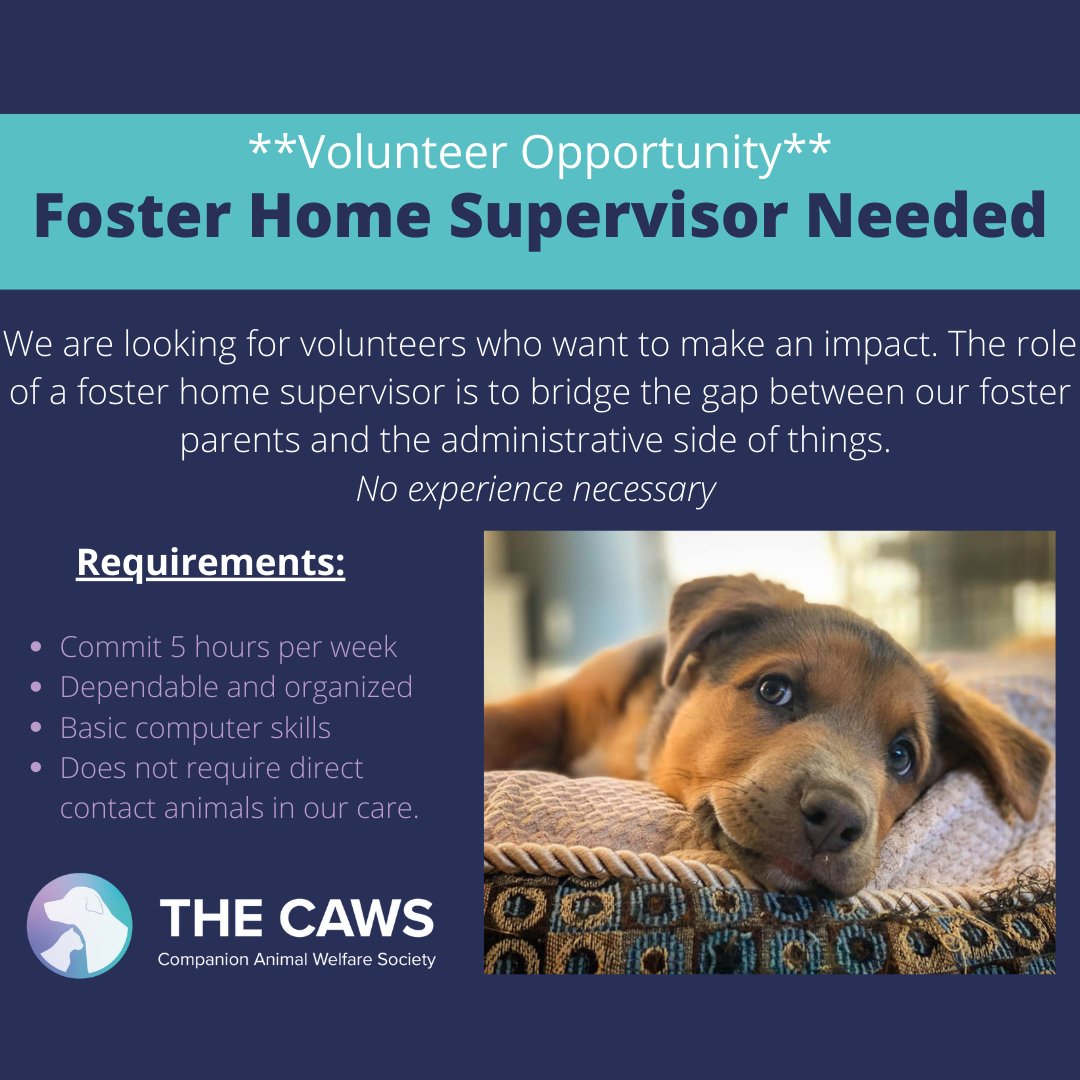 cawsab's tweet photo. Volunteers Needed 

https://t.co/CS8cDxi1lz https://t.co/PKWiX2UvUW