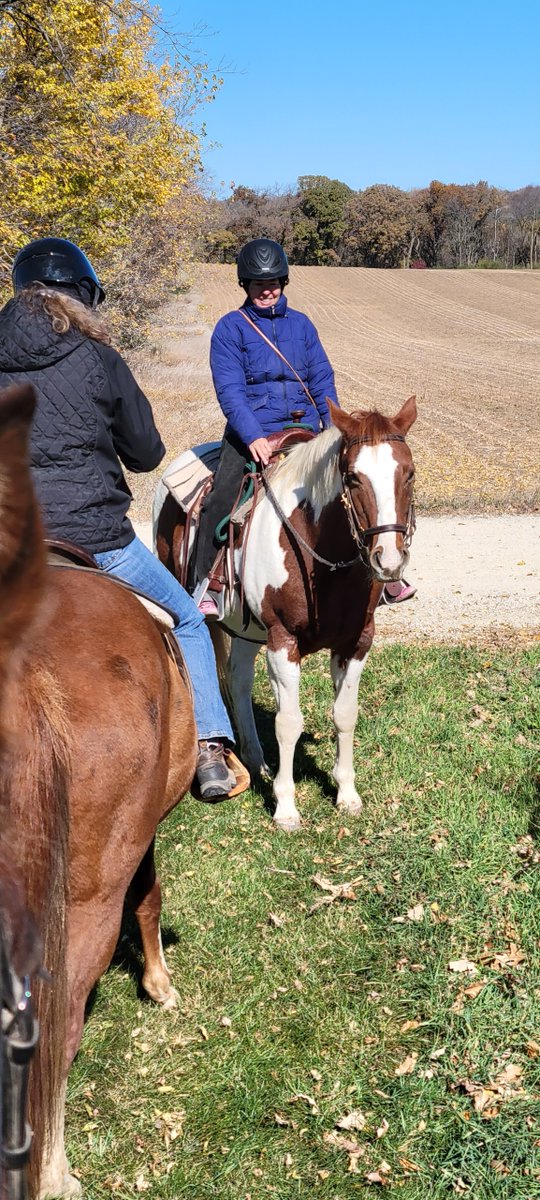 MaraBEquine's tweet photo. #Tuesday #riding #Therapy #horse Mara B #for #promotion of #MentalHealthAwareness #MentalHealthMatters #suicide #prevention #awareness #KindnessMatters #October 18 #Wellbeing #wellness #stopsuicides #equinetherapy https://t.co/Z50s0qUvot