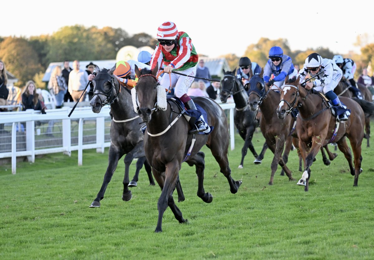 RACE 8 WINNER: Peter Dunnett Memorial Handicap 🥇 The Spotlight Kid 🥈 Elsaab 🥉 Lucia Joy A Win for #DeanIvory and @CierenFallonJr #HorseRacing #Results