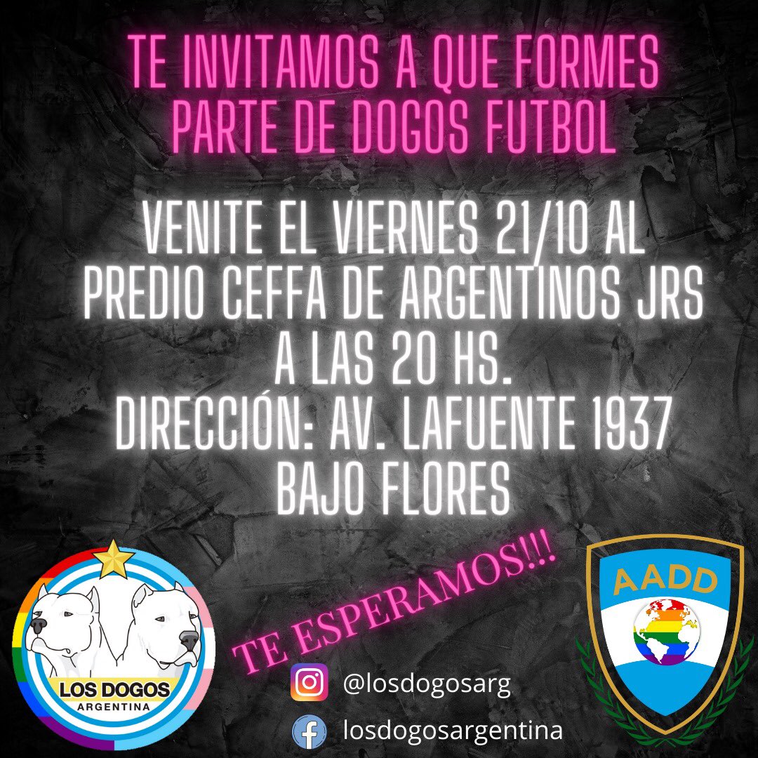 LOS DOGOS tweet media
