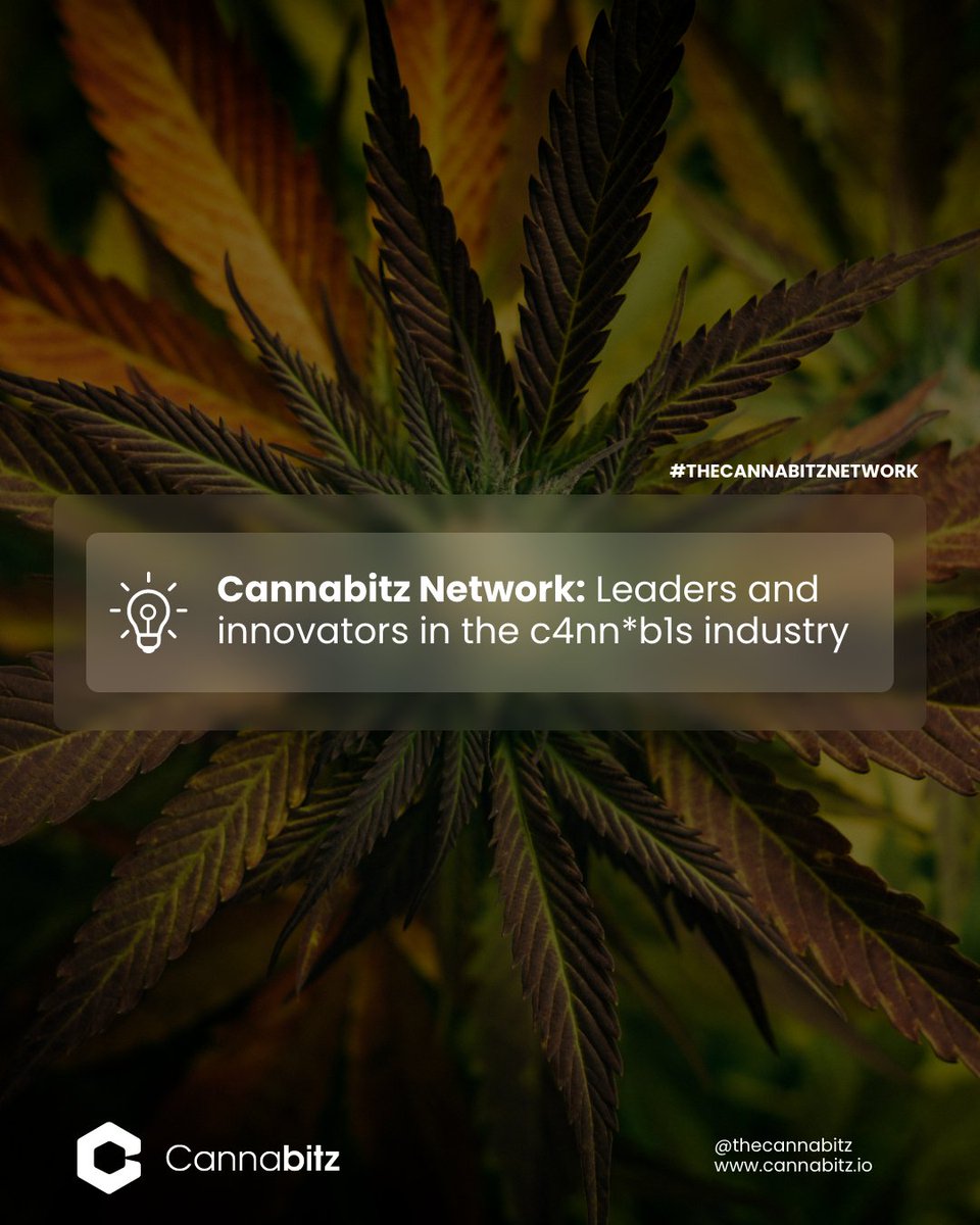 Cannabitz_io's tweet photo. Cannabitz makes it easy for you to enter the industry that demonstrates sustained growth worldwide: c4nn*b1s. Read more at @thecannabitznetwork https://t.co/BDiw0VRvqY