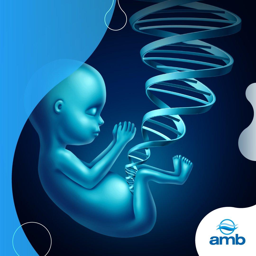 acueductobga's tweet image. El agua es la fuente, literal, desde el inicio de todo...🚿🧬 de hecho, la placenta contiene, aproximadamente, 500 mililitros de #agua, lo que supone un 85% del peso placentario, siendo la principal fuente de aporte de agua al feto, ¿lo sabías?

#tipsamb