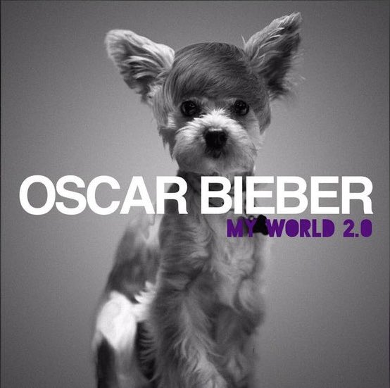 Oscar as Justin Bieber’s album cover — a thread: