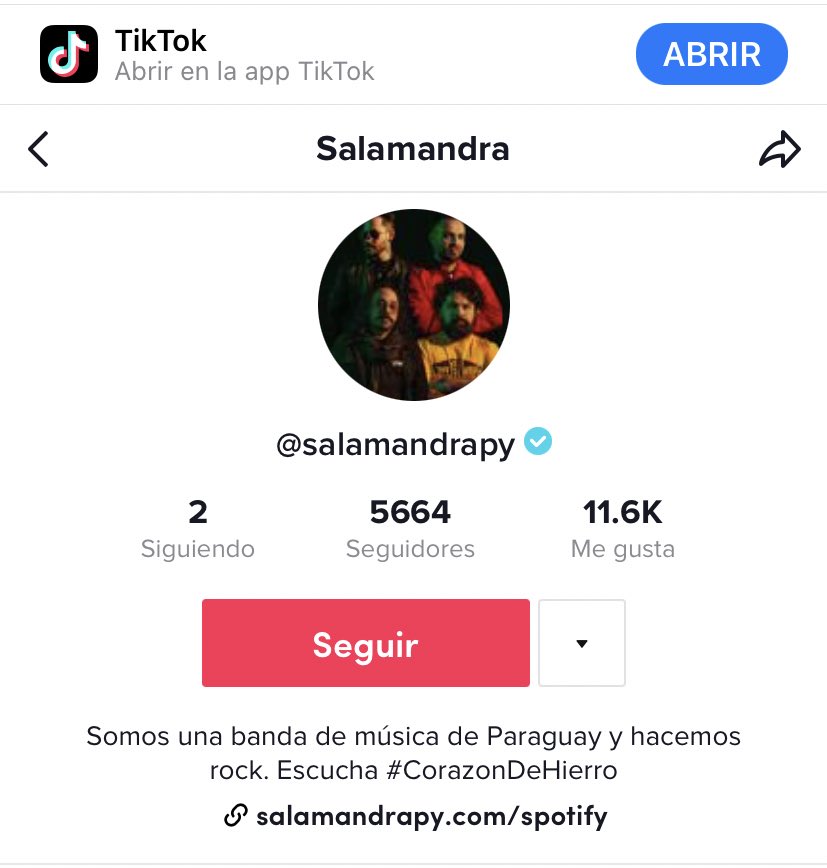 Entre los mejores equipos de soporte está <a href="/TikTokLatAM/">TikTok LatAm</a> 🤯🥳 <a href="/salamandrapy/">Salamandra</a> 😏🤙🏻  tiktok.com/@salamandrapy