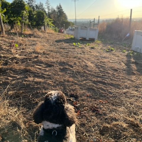 October News and Harvest Updates! - mailchi.mp/94045364393c/o…