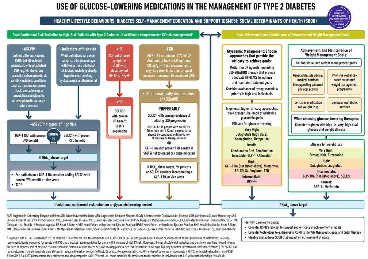 MedClubPage's tweet photo. #Endocrinología #MedicinaInterna
Manejo farmacológico con hipoglucemiantes en pacientes con Diabetes Mellitus tipo 2.
Diabetologia. 2022;1-42. doi:10.1007/s00125-022-05787-2 https://t.co/M8lOGr3kvD