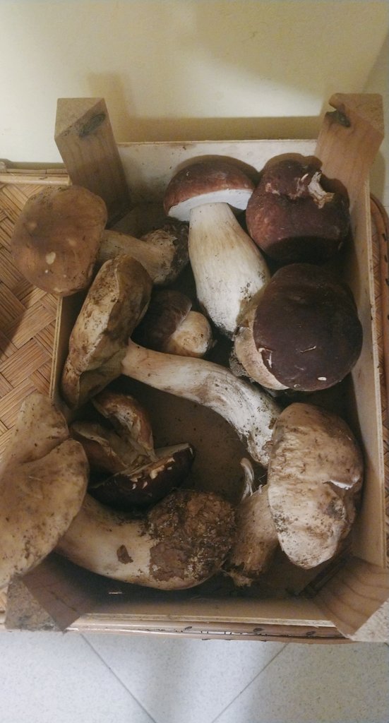 Visto il #Clima in questo periodo menomale esiste ancora una parvenza naturale d'#Autunno...