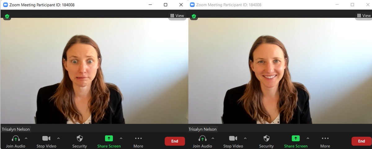 Its academic job interview season. 

Need tips for surviving the zoom interview?
trisalyn.medium.com/5-tips-for-sur…