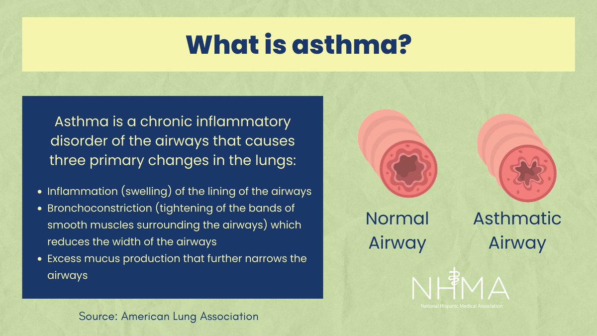 There are many different social determinants of health that contribute to the increased prevalence of asthma among Hispanics and Latinos. Providers should always remind patients of the basics of asthma and how they can best work towards positive health outcomes. #DearAsthma