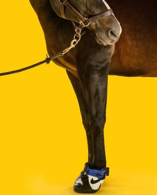 misticord's tweet photo. Ya hasta los caballos tienen tenis de marca
@Nike 🤭 https://t.co/ynUAKryM7p