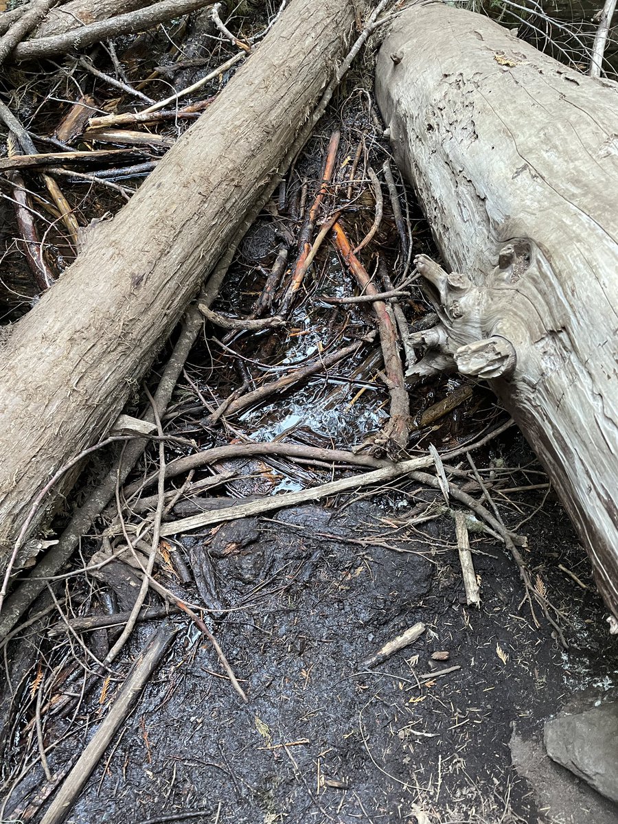 ImagesMatthew's tweet photo. Thank you @LifeProof for doing absolutely nothing to protect my phone from a 3ft drop. #showusyourproof https://t.co/Zk0K1FlPAP
