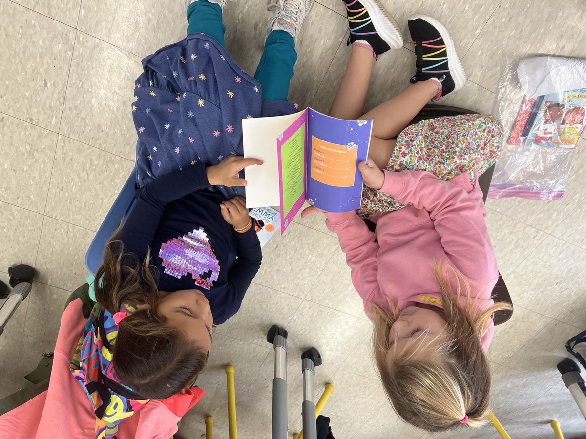 Partner reading: detectives at work solving words with tricky vowel teams sounds. Try another way if the word does not make sense.