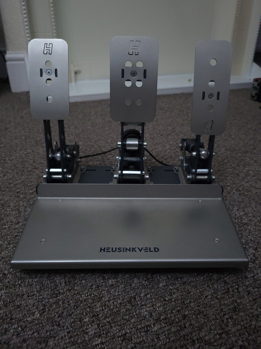 Brandon Haighy 🍊🧡 tweet media