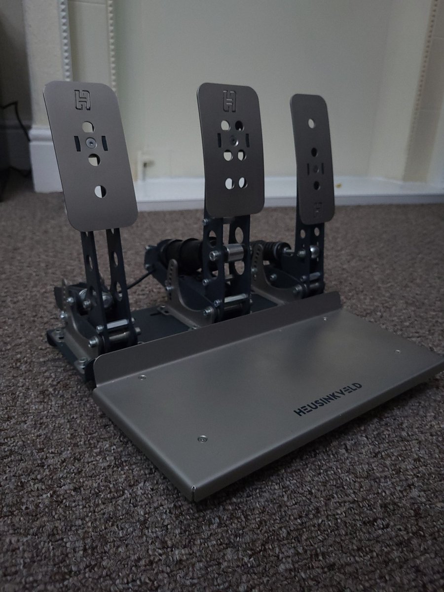 Brandon Haighy 🍊🧡 tweet media