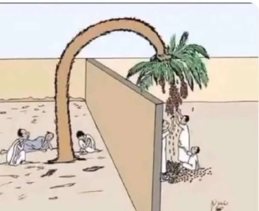 بندر المسند tweet media
