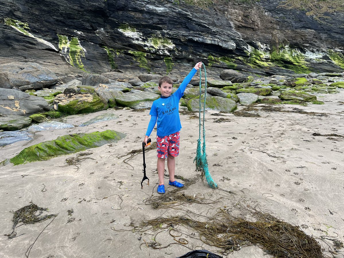 steve robson tweet media