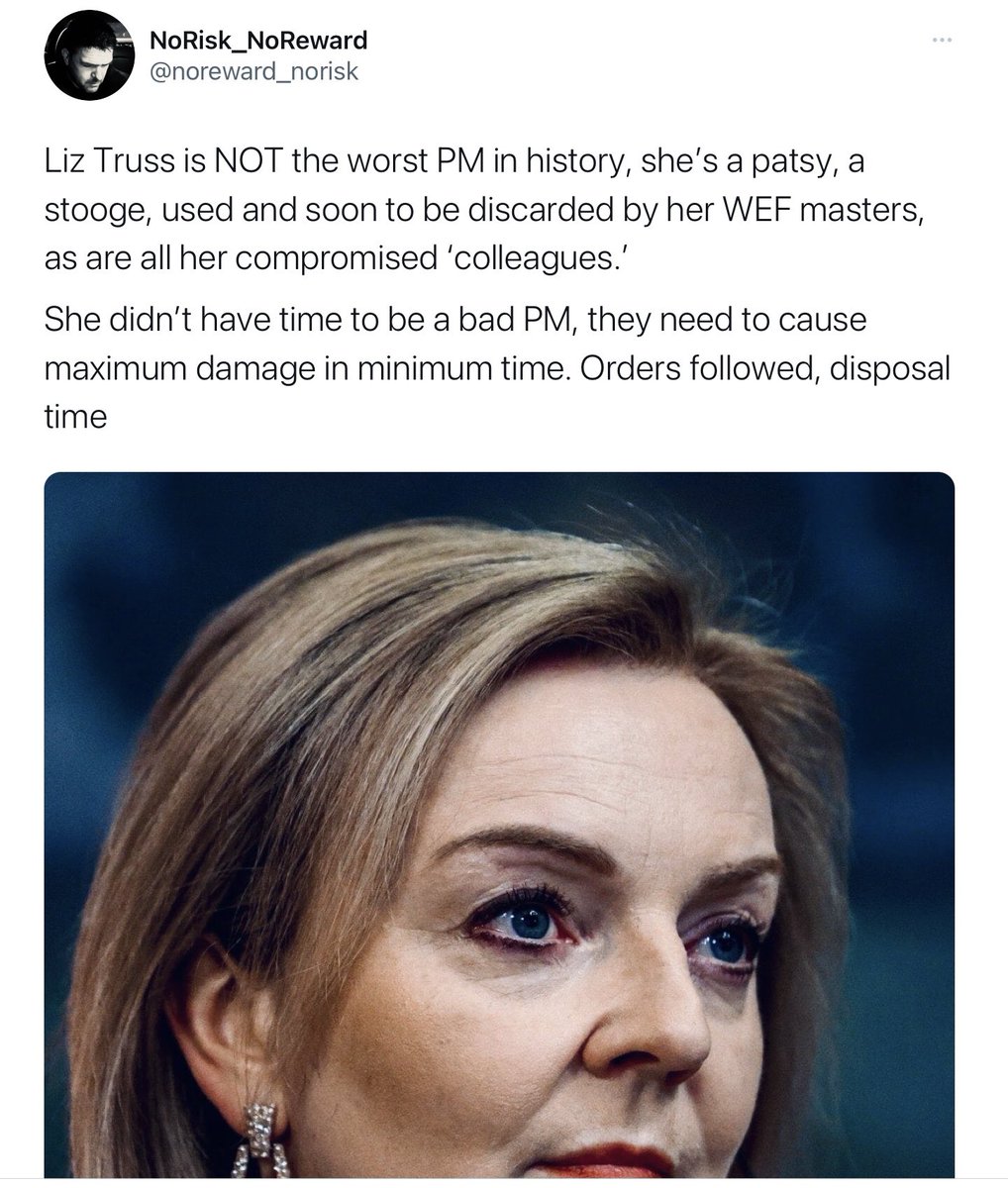 OmShanti1504's tweet photo. @garethicke #DutchGovt are #WEFpuppets just like the majority of the world PUPPET 'leaders' They are ALL just the actors, the gofers of those really in charge of world affairs.
#StopTheWEFnow and their owners/Masters. https://t.co/hqB6Nkrj0v