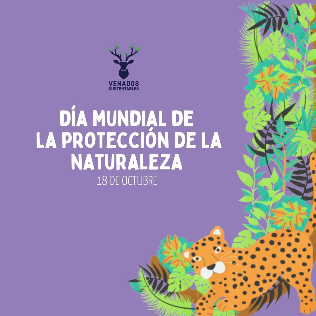 Venados Sustentables tweet media