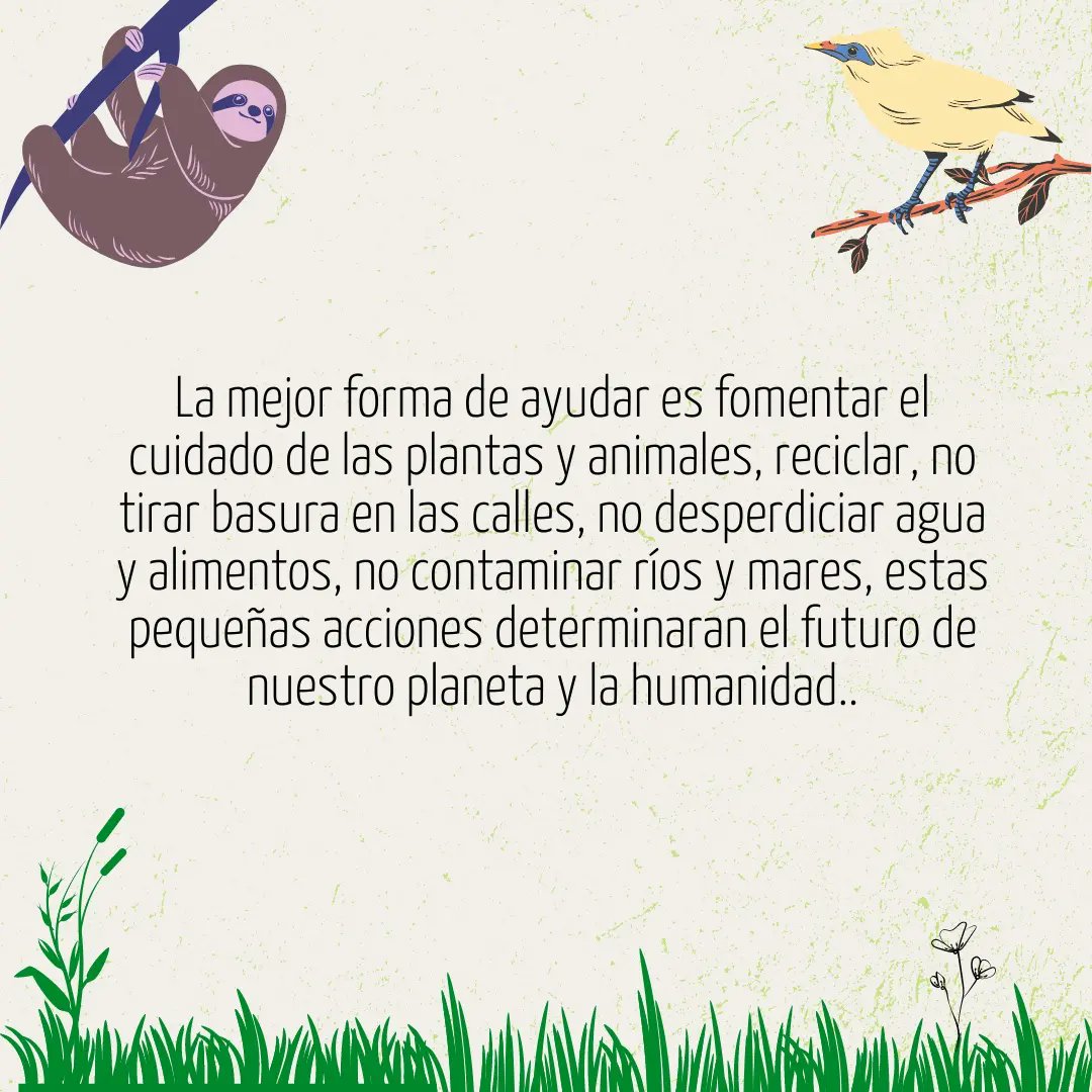 Venados Sustentables tweet media