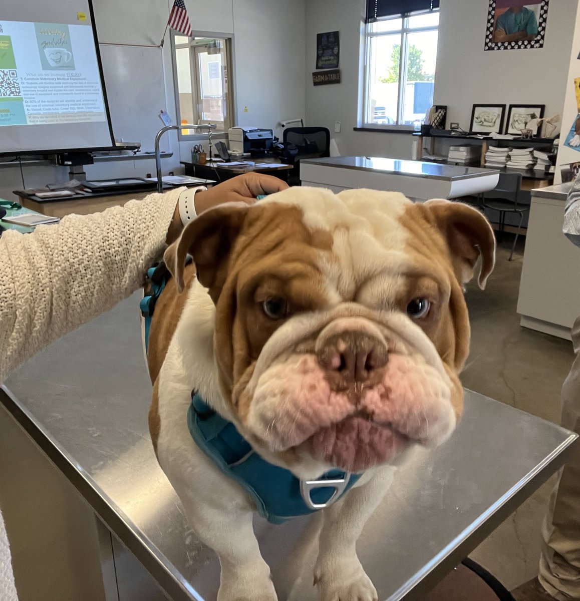 Irving ISD (@irvingisd) on Twitter photo Which mood are you, #myIrvingISD? ๐ถ๐พโค๏ธ
<a href="/Nimitz_PetCare/">Nimitz_PetCare</a>
<a href="/iisdCTE/">Irving ISD CTE</a>
#NationalVeterinaryTechnicianWeek Which mood are you, #myIrvingISD? ๐ถ๐พโค๏ธ
<a href="/Nimitz_PetCare/">Nimitz_PetCare</a>
<a href="/iisdCTE/">Irving ISD CTE</a>
#NationalVeterinaryTechnicianWeek