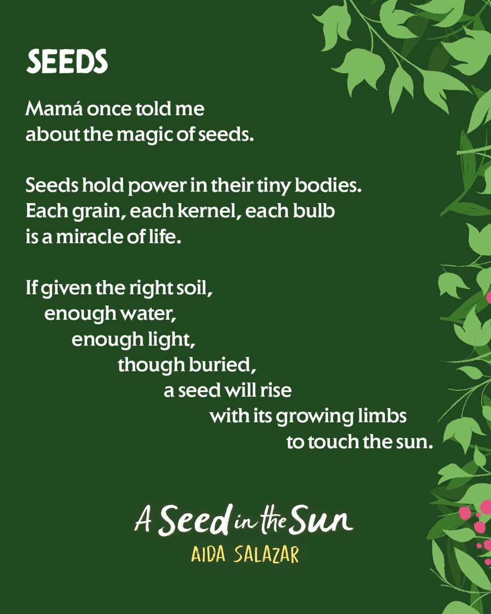 #Giveaway time! I’ve got a few hardcover copies of #ASeedInTheSun to offer. To enter for a chance to win, like and RT! Winners will be chosen randomly on Fri. 10/21. <a href="/penguinkids/">Penguin Kids</a> @GalltZackerLit 
#historicalfiction #versenovel #bookgiveaway #middlegradebooks #kidlit #latinxkidlit