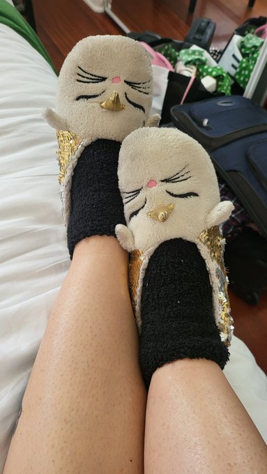Prepping my feet in my favorite slippers for my foot fetish scene https://t.co/rTiu7HcHDs<a href="/tag/shoplifter"class="tags"><span>#shoplifter</span></a>