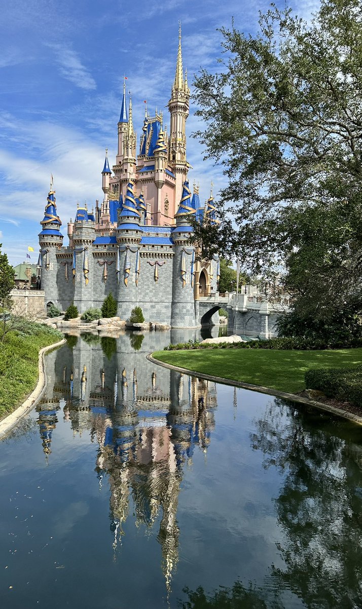 Bill Black tweet media