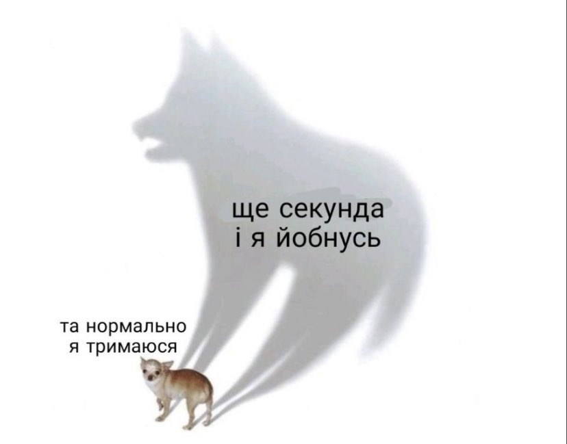 уже без брекетів 🇺🇦🪭 tweet media