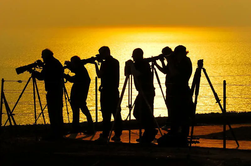 Gold has never been this cheap! 40% off on Nikonians Gold membership ($30 value), valid thru Oct 2022. Use voucher "inspiration22"
Includes: Portfolio, large gallery, critique &amp; advice + much more. Img by Paul Fisher.
bit.ly/3D5o665 
#nikon #community #photography