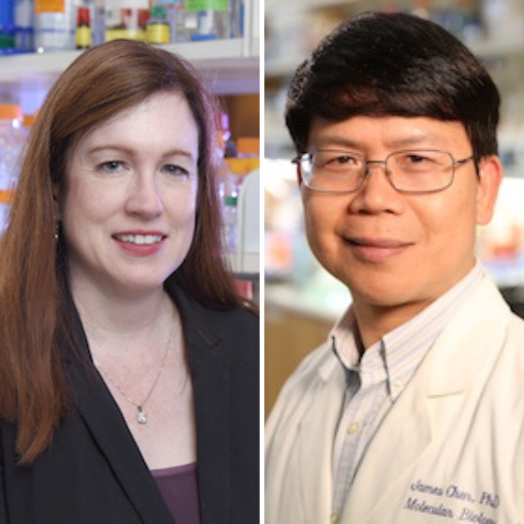Congrats to #UTSW faculty members Lora Hooper, Ph.D., and Zhijian “James” Chen, Ph.D., on being elected to the <a href="/theNAMedicine/">National Academy of Medicine</a>. This honor recognizes those who have made major contributions to advancing health care and public health. Learn more: bit.ly/3VGeo1E