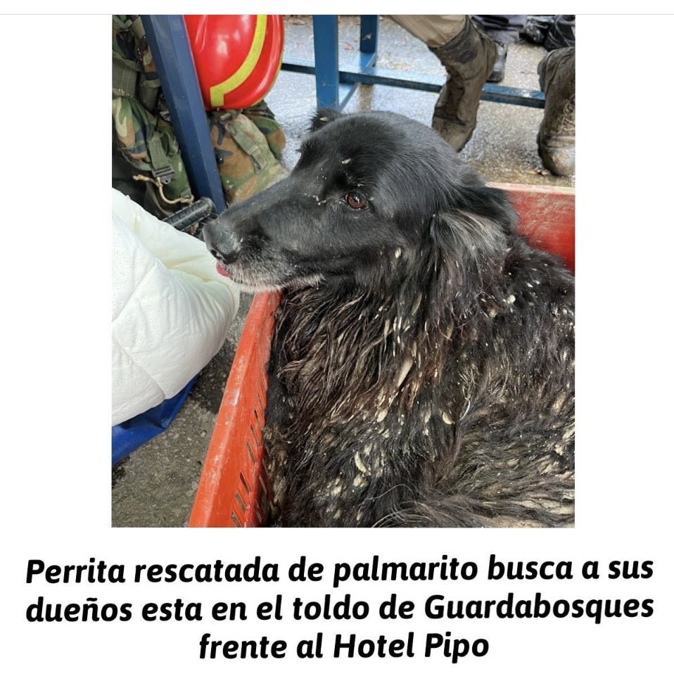 ⁦<a href="/FRAENKELE/">FRAENKEL ESCALANTE</a>⁩ busca a su Familia . Maracay , El Castaño . Difusión por favor