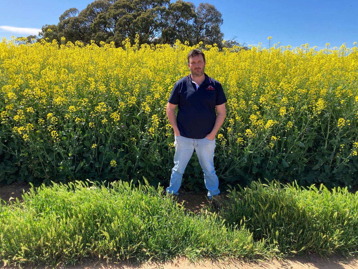 IKCaldwell's tweet photo. #knowyouragro this week at Deni
This weeks #knowyouragro at Deniliquin!
Name: Lachlan Holden
Role in the Business: Senior Agronomist
Where do you work: Deniliquin/Tocumwal/Finley/Caldwell
How long have you been with the business: 13 years https://t.co/SFlHK0DDOF