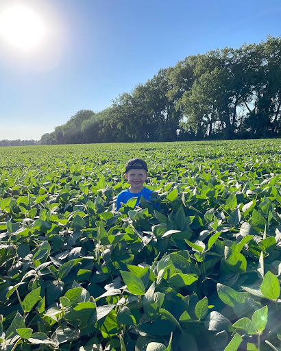 RRXtend's tweet photo. Drop a ❤️  if you have little hard-working hands helping you out this #harvest22! 🙌
Bonus points if you share a photo with us! #WorkFromFields #XtendYourYield 
 
📸 @LakeviewFarms2, @DKAS_ND_N_MN, @NicoleStecklein https://t.co/UyGbilLI3A
