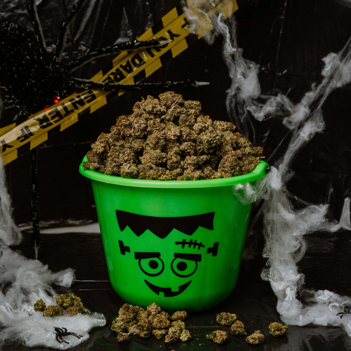 officialcbismo's tweet photo. Happy October 🎃 👻 🧛 Guess the amount of flower in this bucket and win 3 of our best Halloween strains 🔥 
Like + Retweet the post
Tag 2 friends
Check out the link in the bio to enter!
.
.
.
 #Mmemberville  #weedbabe #cannabislife #stonersociety #cannabiscommunity https://t.co/5Qov9pCazt