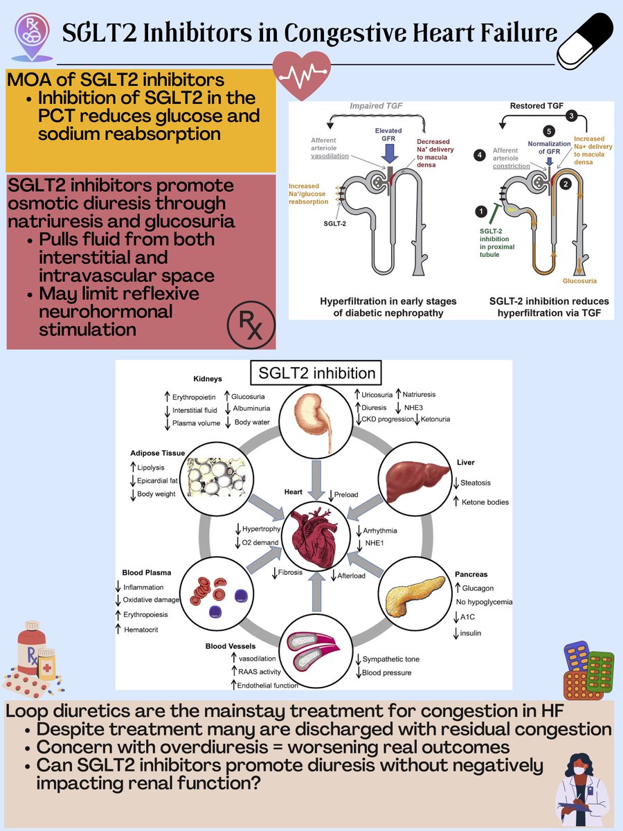ACCP Cardiology PRN tweet media