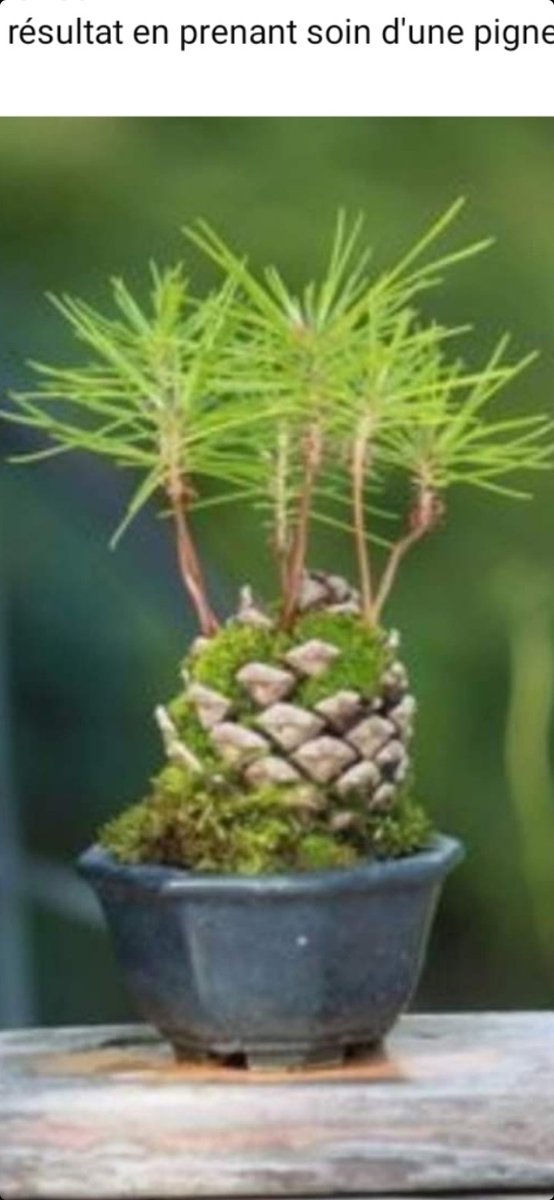 <a href="/atipyque/">Ati</a> <a href="/PolitiqueQPV/">Politique De La Ville</a> Situation optimale . . .  d'une
implication attention désintéressée 
de laisser #germer les effets d'un
P a r t a g e    D é c o u v e r t e

Quelle belle idée et votre regard de
" Juriste" plus averti encore sur les
écueils à éviter  !