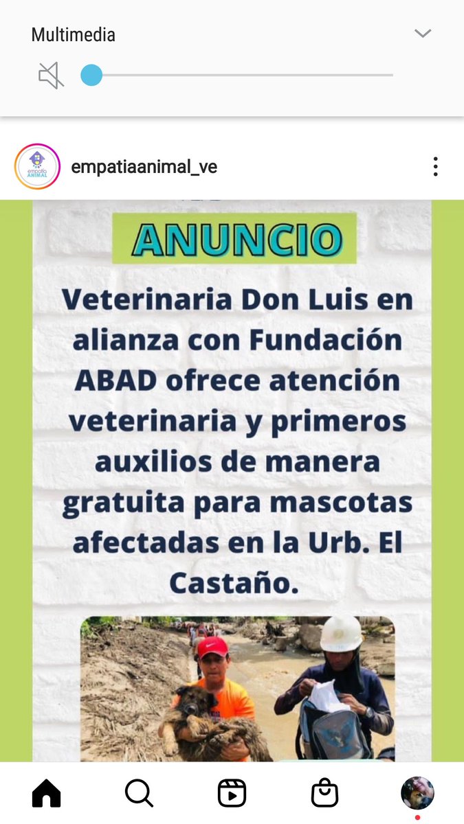 Atencion gratuita en  Veterinarias de Maracay para Victimas del Castaño. <a href="/PerroUsuario/">PerroUsuario Wof '•'</a> <a href="/CanalAnimal/">Canal Animal</a> <a href="/Viyury1/">Viyury</a>