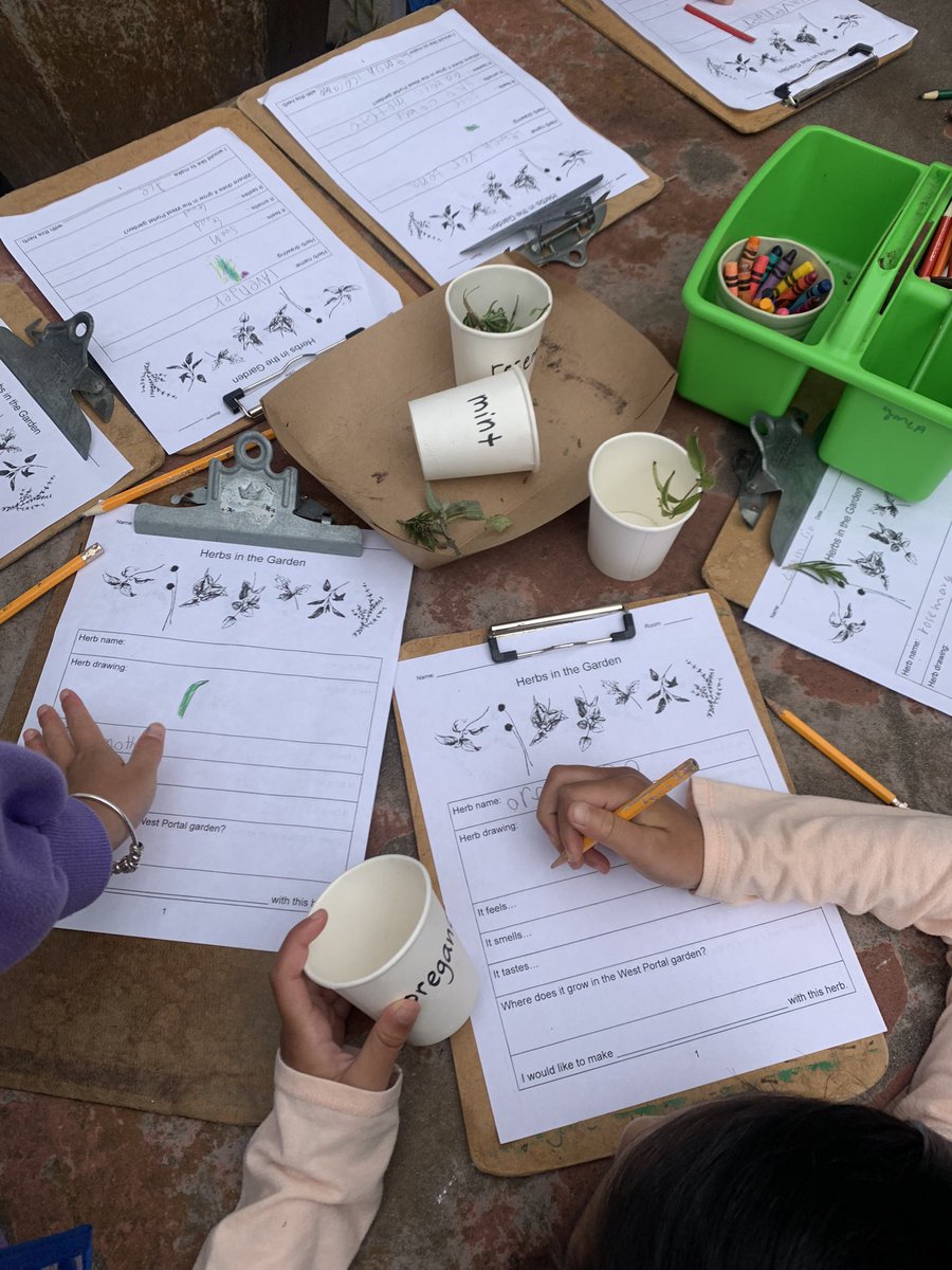 West Portal Elementary Garden tweet media