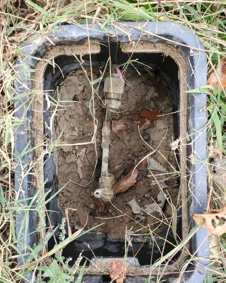 Shawn Van Dyke tweet media