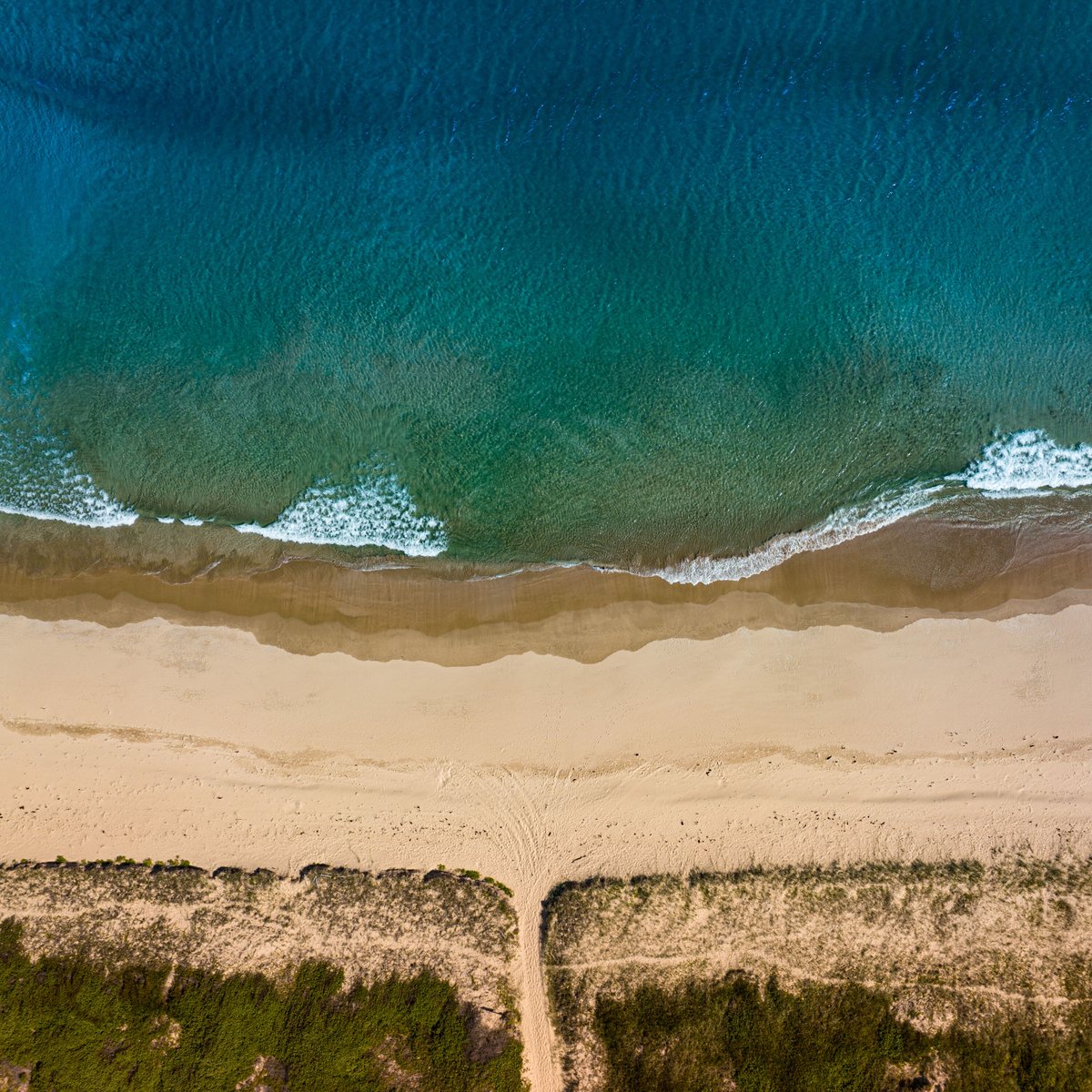 alexkess's tweet photo. Wanda Beach Pathway - Day 11
Daily Art Share - Sharing one piece of Art a day.
#Cronulla #WandaBeach #nsw #visitnsw #sydney #ilovesydney #australia #drone #dji #mavic3 https://t.co/zdcwgynh0X