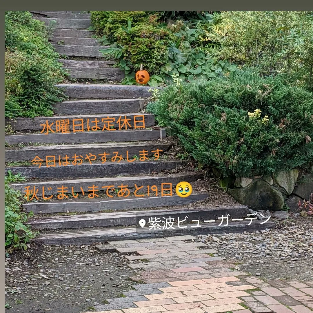 viewgarden2000's tweet photo. #happyhalloween
#jackolantern
#星空観察会
#planeturium
#viewgarden
#紫波町
#岩手 https://t.co/AVoXUUCdVd
