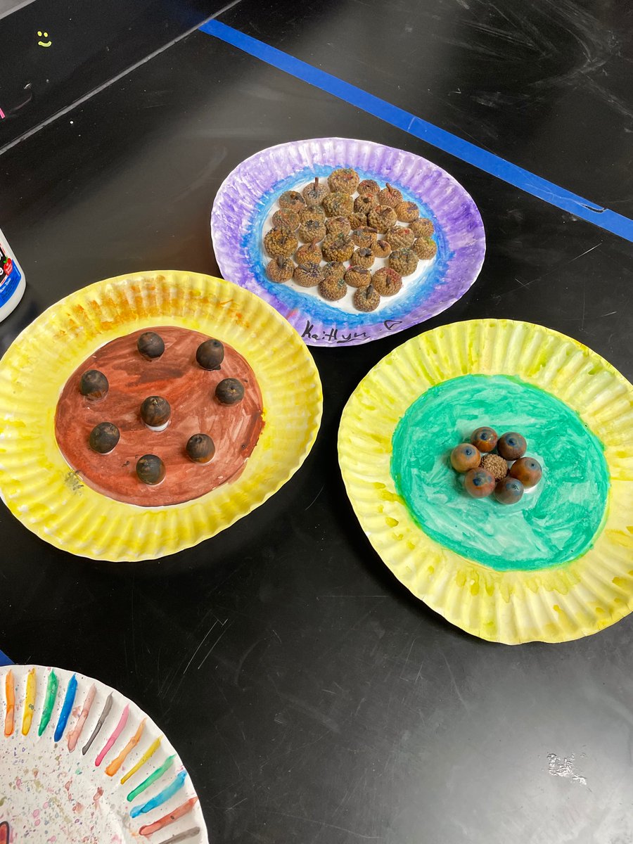 WMS science camp acorn art.