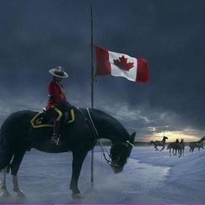 cfseubc's tweet photo. All of us at #cfseu_bc and #OCABC are heartbroken over the on duty death of a colleague today. Our thoughts are with her family, friends and members of @BurnabyRCMP thank you to all the first responders who are assisting as a result of this difficult tragedy https://t.co/YQ8f2glZ7v