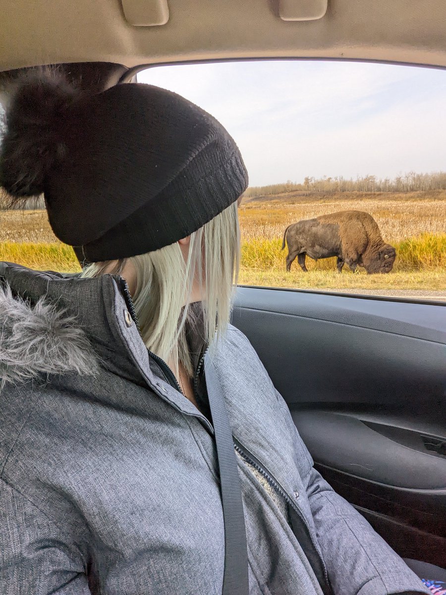 Lindz 🇨🇦 I've Been B✈t! tweet media