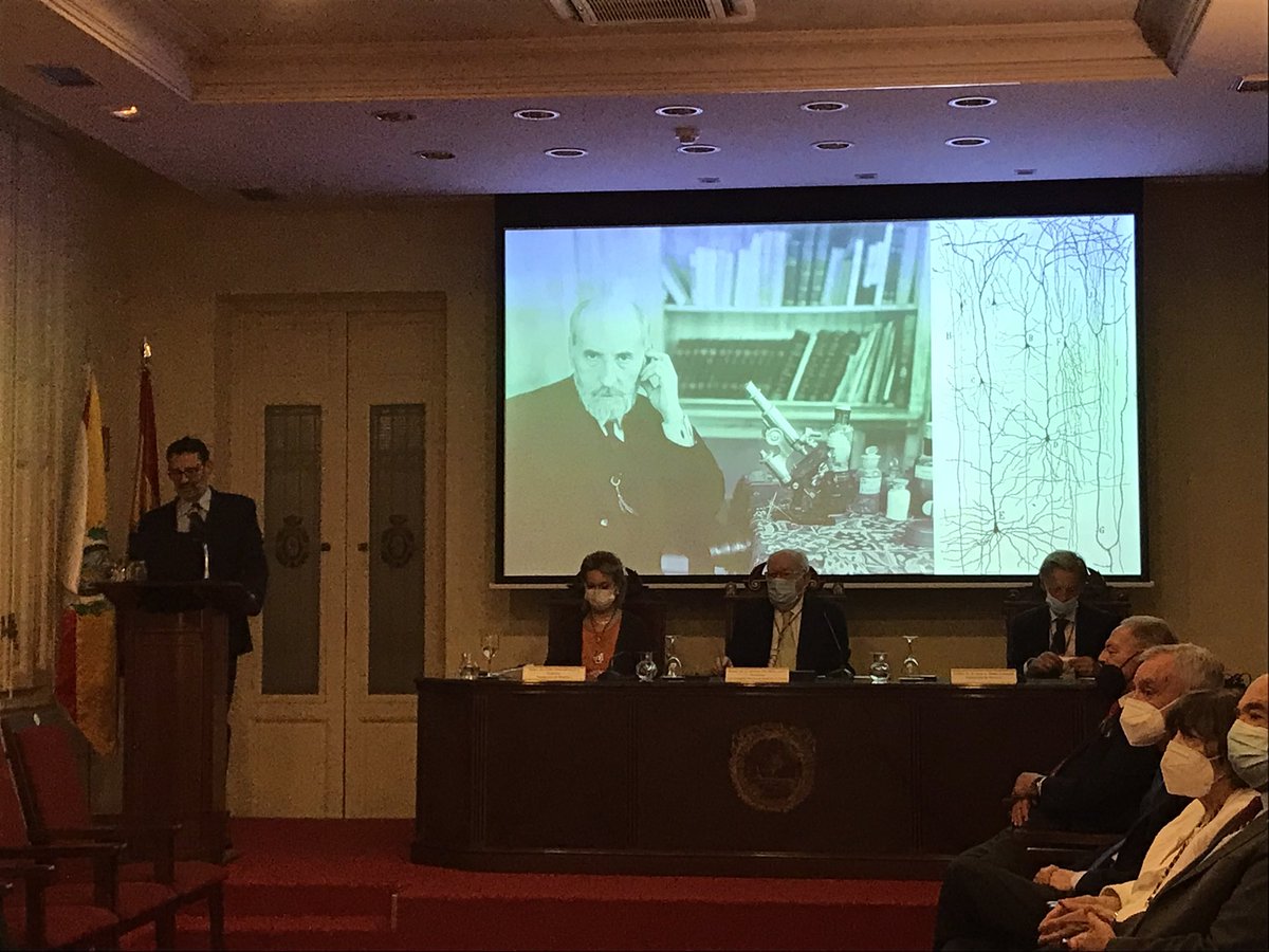 Fernando de Castro S (@fdecastros) on Twitter photo VI #Cajal_Week at the <a href="/ranm_es/">RANME</a>: Someone better than #ÓscarMarín (<a href="/MarinLab/">Oscar Marín</a> <a href="/dev_neuro/">CDN | King's College</a> <a href="/Cajalclub/">Cajal Club</a> <a href="/royalsociety/">The Royal Society</a> <a href="/FENSorg/">FENS</a> ) to commemorate the founder of modern #Neuroscience? #Cajal & #LorentedeNó. At Oscar's hometown, <a href="/MADRID/">Ayuntamiento Madrid</a> / <a href="/ComunidadMadrid/">Comunidad de Madrid</a>
#AñoCAJAL.
#MuseoCajalyEscuela_YA VI #Cajal_Week at the <a href="/ranm_es/">RANME</a>: Someone better than #ÓscarMarín (<a href="/MarinLab/">Oscar Marín</a> <a href="/dev_neuro/">CDN | King's College</a> <a href="/Cajalclub/">Cajal Club</a> <a href="/royalsociety/">The Royal Society</a> <a href="/FENSorg/">FENS</a> ) to commemorate the founder of modern #Neuroscience? #Cajal & #LorentedeNó. At Oscar's hometown, <a href="/MADRID/">Ayuntamiento Madrid</a> / <a href="/ComunidadMadrid/">Comunidad de Madrid</a>
#AñoCAJAL.
#MuseoCajalyEscuela_YA