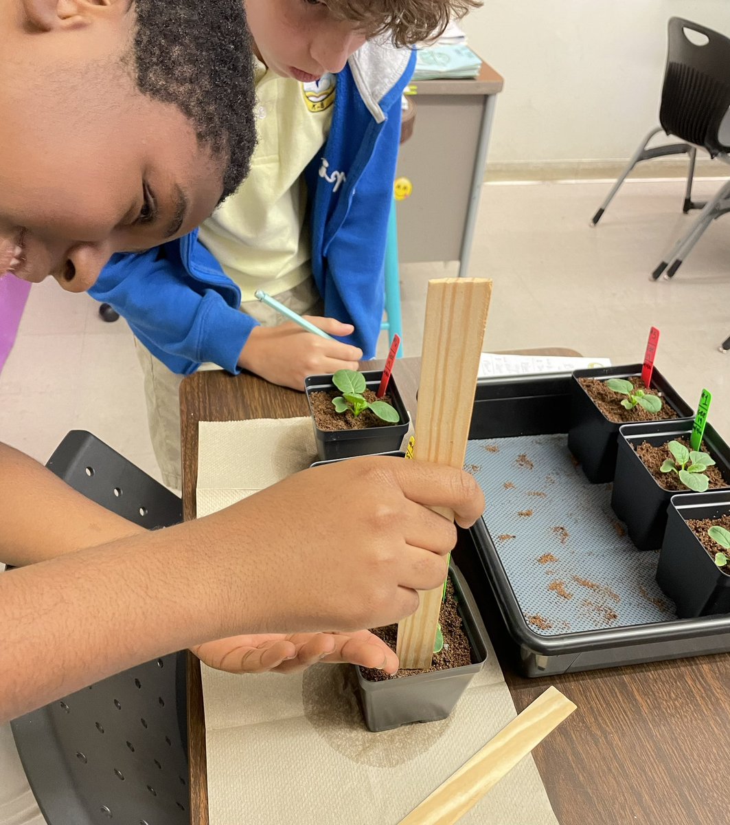 Ms Ro-Do tweet media