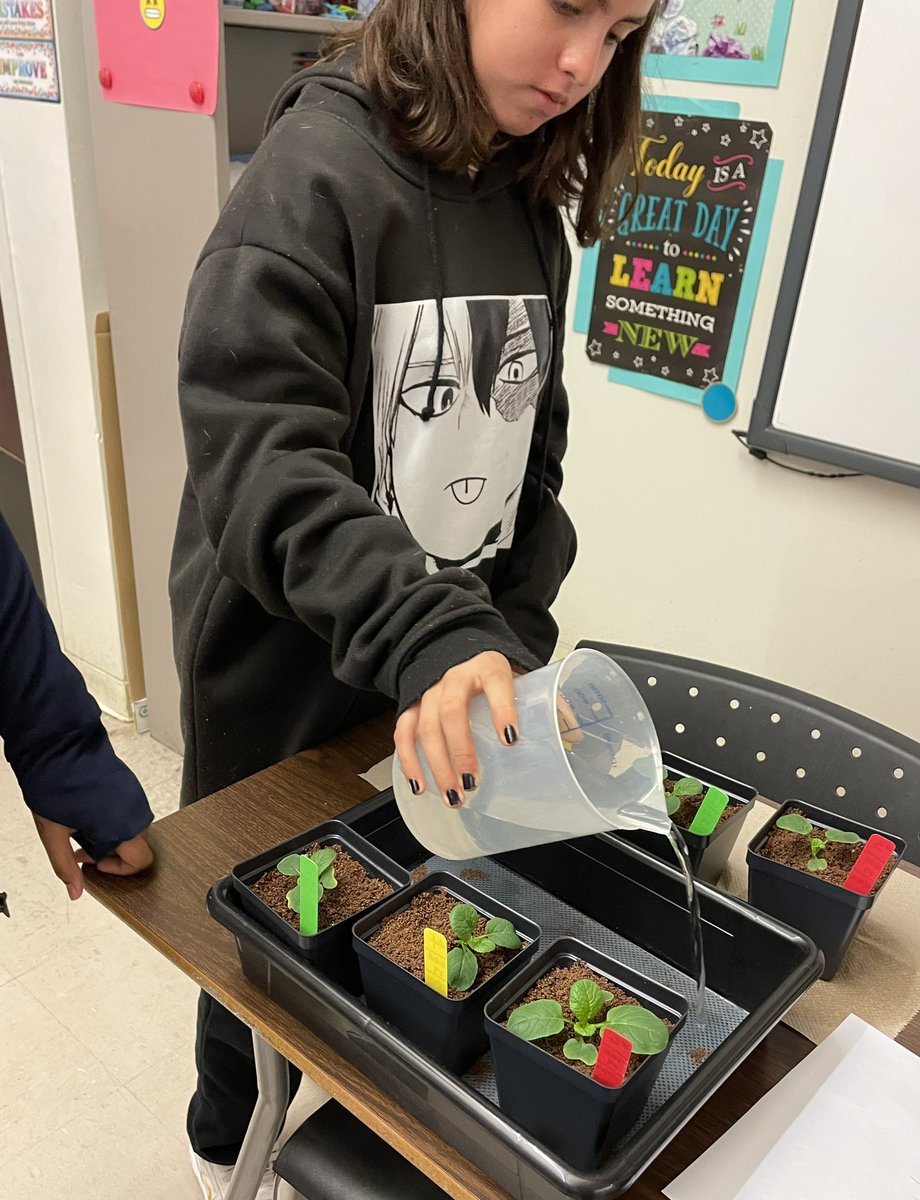 Ms Ro-Do tweet media